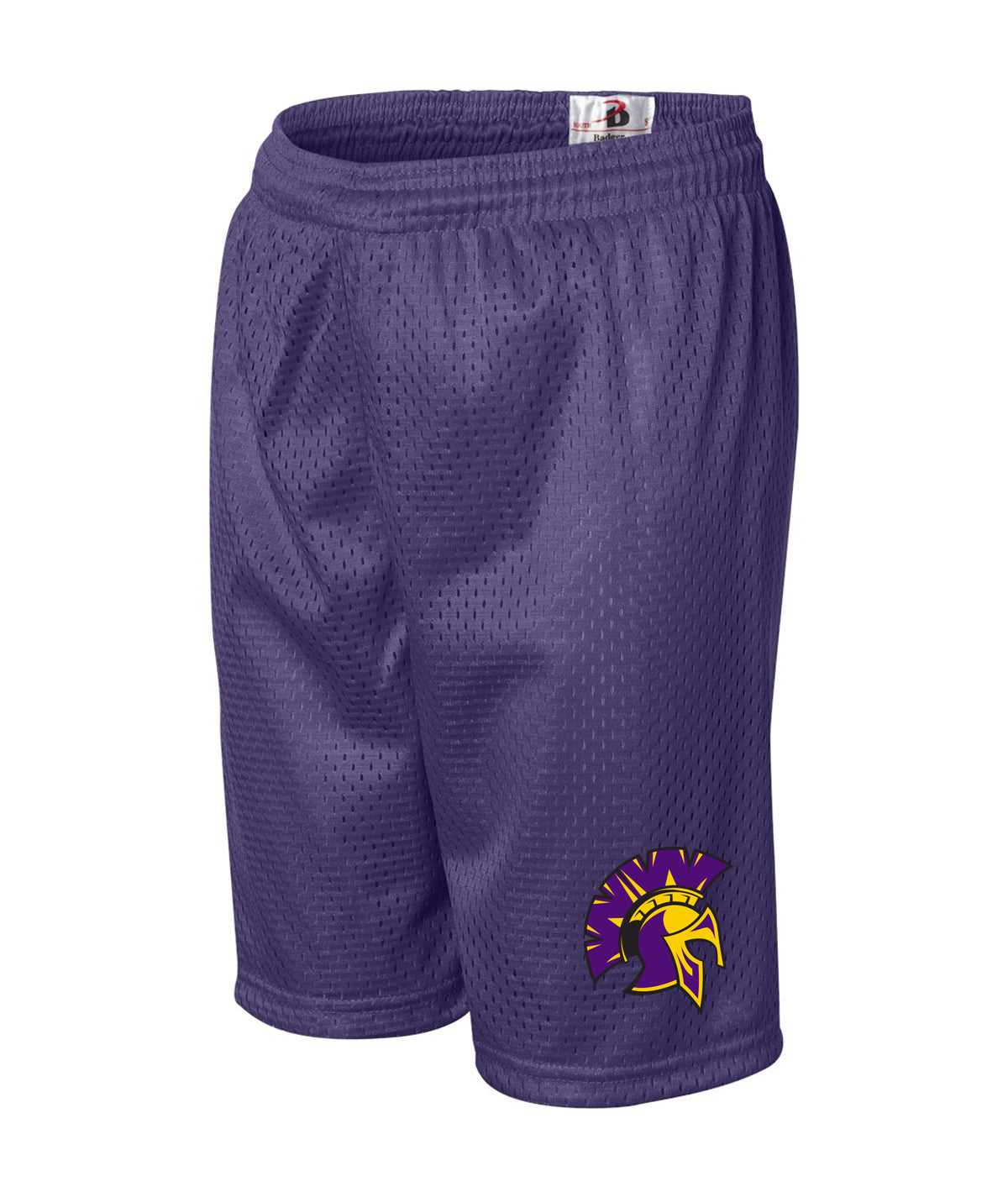 School Pride Youth Mesh Shorts