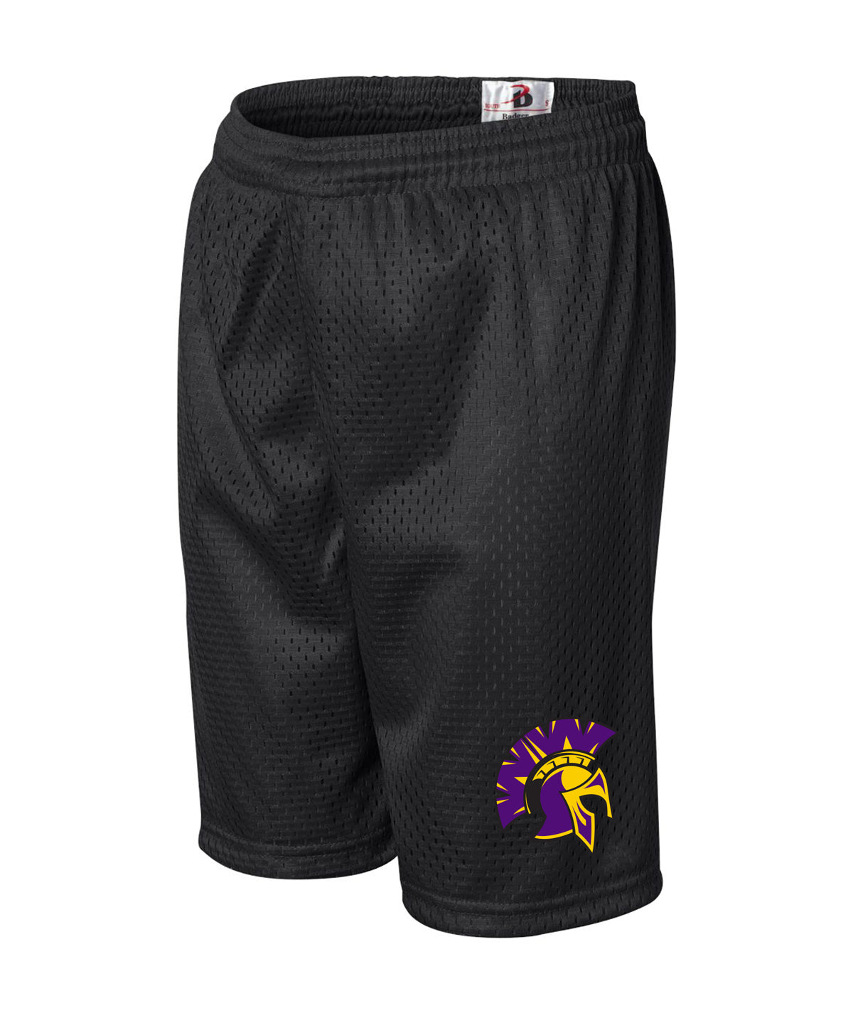 School Pride Youth Mesh Shorts